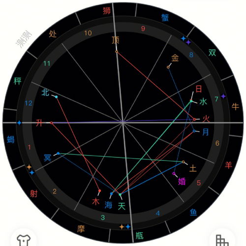 星座命理其他分享 这个星盘你怎么看 