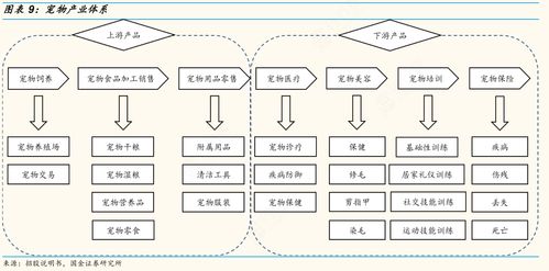 观云长 90后 00后精细化养宠 创新宠物市场一片蓝海