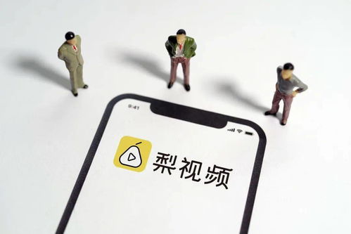 上海新梨视网络科技有限公司怎么样？