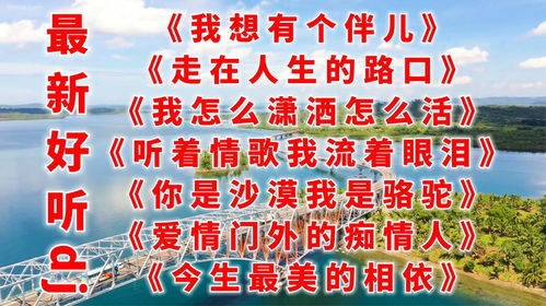 最新好听DJ 我想有个伴儿 走在人生的路口 你是沙漠我是骆驼