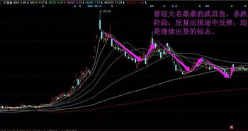 在哪里可以看到庄家操盘的一些手法，文字或视频均可