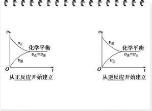 可逆反应的转化率和什么有关