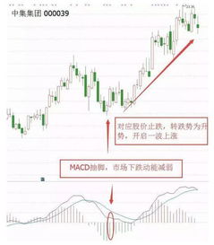 怎样的股票算是处于多头市场