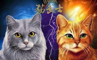 童书推荐 猫武士 抒写了童话世界里猫的传奇