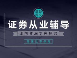 如何运用证券市场进行宏观经济调控