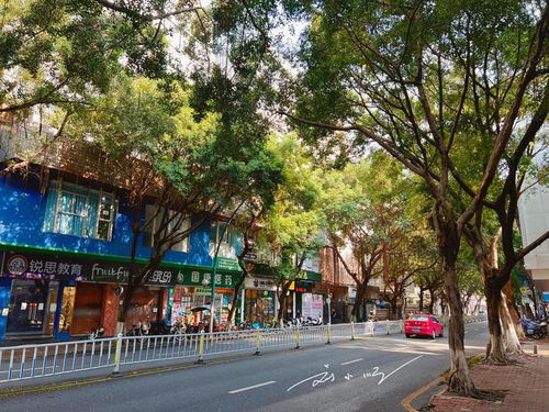 这里曾经是番禺 市中心 ,如今发展比较慢,游客 还像个小县城