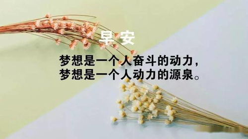 2019晚间励志语录短句-2019年清华大学励志跨年演讲稿？