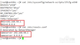 linux域名解析失败什么意思(虚拟机ubuntu无法解析域名)