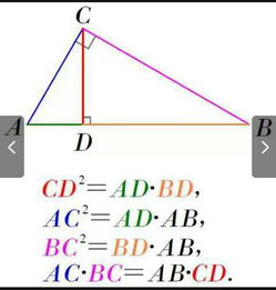 请问射影定理是什么 怎样理解 