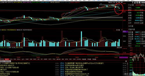 什么叫创业板，简单举例子说明我不理解什么叫创业板