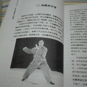 高手 张志俊解密太极拳