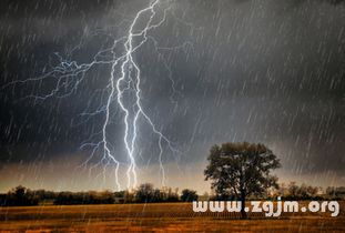 梦见下雷阵雨