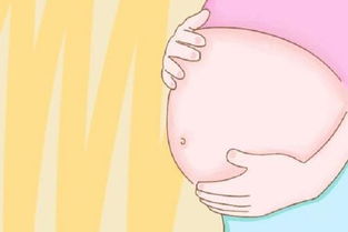 怀孕三个月(怀孕三个月症状有哪些)