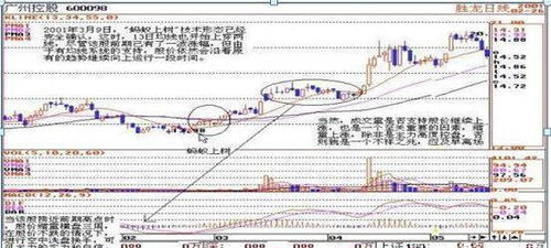 一位退役庄家吐露真言 用 蚂蚁上树 实力抄底,散户却一直嫌弃 