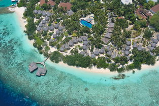 马尔代夫班度士岛地一个海洋梦幻之旅（马尔代夫bandos岛）