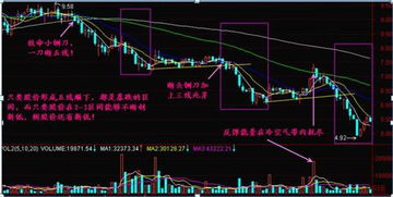 目前沪深A股中最低价格的股票是哪只？还有五元以下股票有多少？