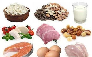 蛋白质高的食物有哪些？蛋白质含量高的食物有哪些
