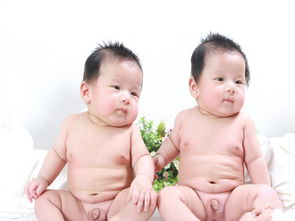 2015年12月萌哒哒的双胞胎羊宝宝英文名字大全