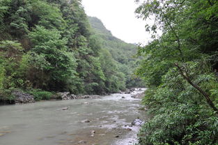 五一重庆哪里风景适合旅游