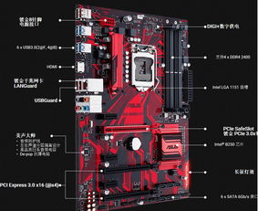 华硕b250主板怎么安装win10