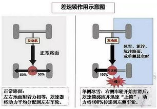 论文查重自费VS机构查重：如何选择最适合自己的方式？