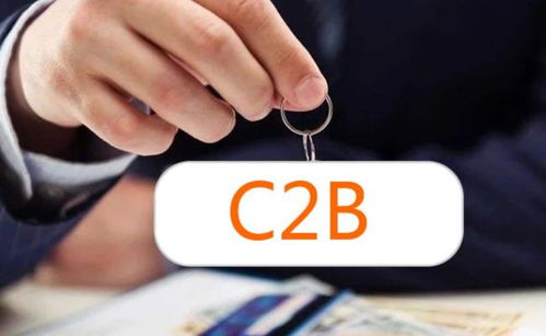 c2b是什么意思（c2bb2b什么意思） 第1张