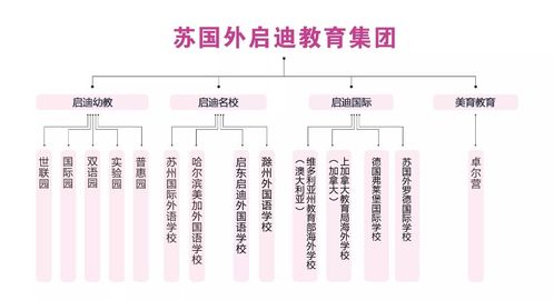 JN SPORTS-冰球、冰壶、轮滑……金山区中小学因地制宜普及和推广冰雪运动(图6)