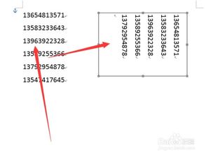 如何在Word文档中竖向排版文字和手机号码 