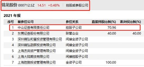 比照综合类证券公司具体是指哪一类公司？