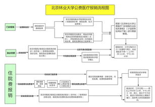 北京出书查重：流程步骤与费用预算