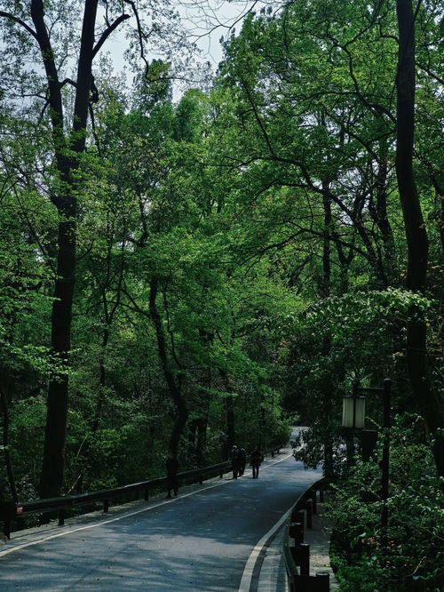 长沙旅游 岳麓山不排队半日游攻略 