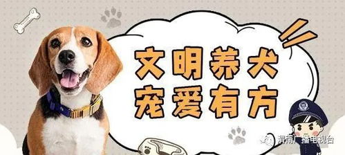 渭南市养犬管理办法 3月1日起施行 医院学校等区域不得养犬