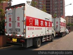 上海到义乌的冷藏价格 上海到义乌的冷藏批发 上海到义乌的冷藏厂家 