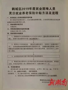 合肥灵活就业人员社保缴费标准(安徽灵活就业养老保险标准)