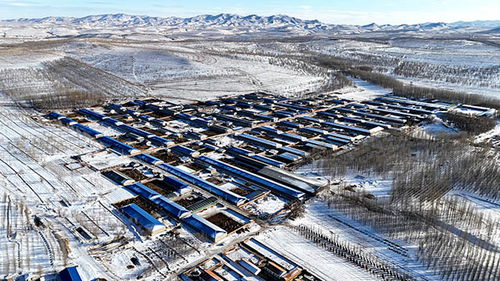 内蒙古赤峰林西十二吐乡天气预报