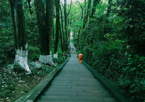 成都最堕落的景区,算命先生聚集,游客竟然还趋之若鹜