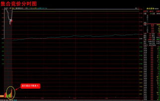 每天集合竞价的成交量（额）在哪里可以知道？