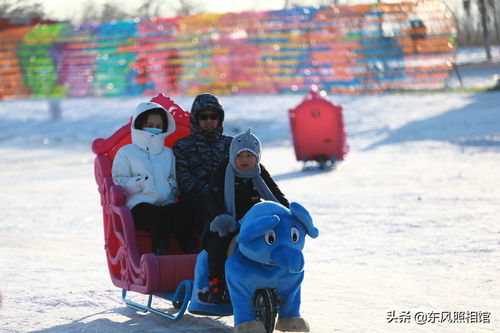 玩具狗拉爬犁 人肉大蜈蚣,长春市民嗨翻冰雪