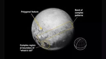 新视野 号探测器将与冥王星相遇 观光计划 曝光