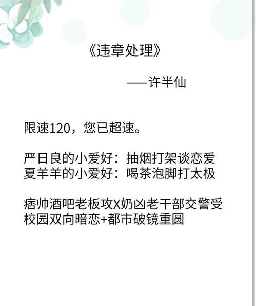 双男主,破镜重圆文推荐, 小行星 违章处理 白日事故