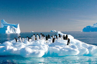 地球的南极北极都是冰天雪地(月球的南极北极是冰天雪地吗)