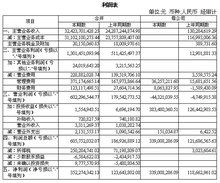 会计报表附注主要包括哪些内容？