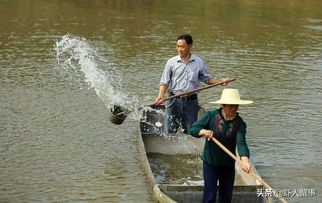 小龙虾养殖户注意 务必要小心池塘里的弧菌 否则雨后天晴就死虾