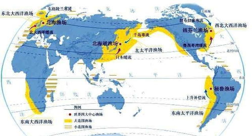 亚洲、欧洲、美洲人口对比分析，了解全球人口分布趋势