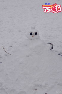 2015年 春节东北大雪 封门 九天作 