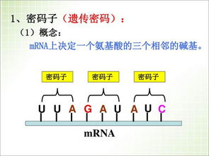 什么是遗传密码 简述其基本特点 