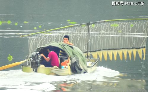 一晚捕鱼2000斤 长江禁渔10年,为何还有人 顶风作案
