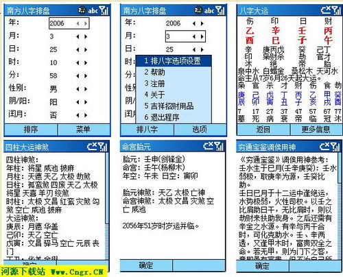 南方批八字软件下载 南方批八字官方版v9.1 最新版 极光下载站 