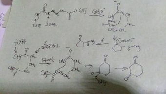 关于这两个Claisen酯缩合反应 不懂是怎么生成产物的