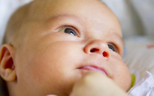 宝宝黄疸多少才需要照蓝光 关于黄疸的8个小秘密,家长要知道